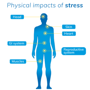 Infographic of stress symptoms. 