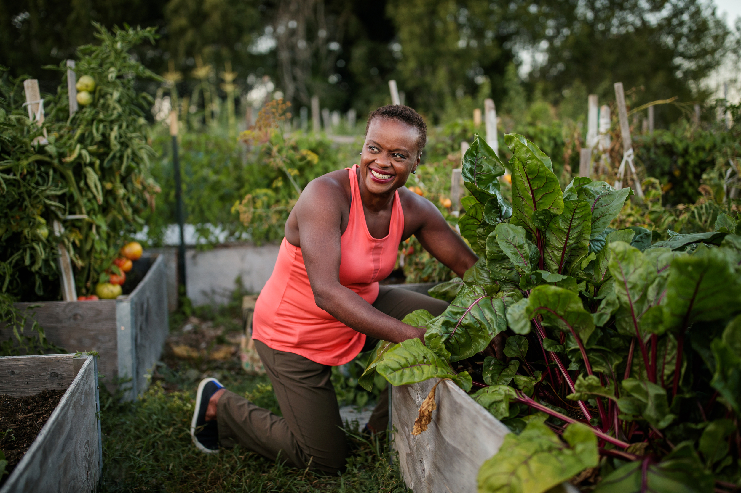 Gardening in a community garden